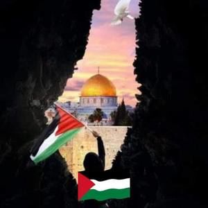 Meet your Posher, Manel